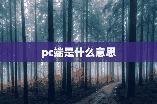 pc端是什么意思